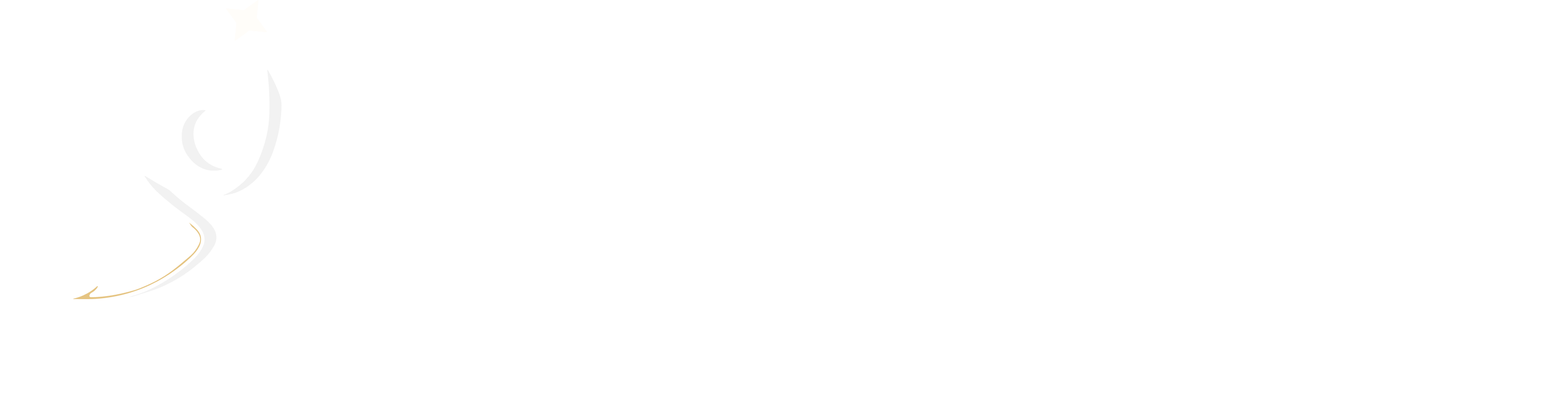 logo-name